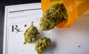 medical marijuana and prescription